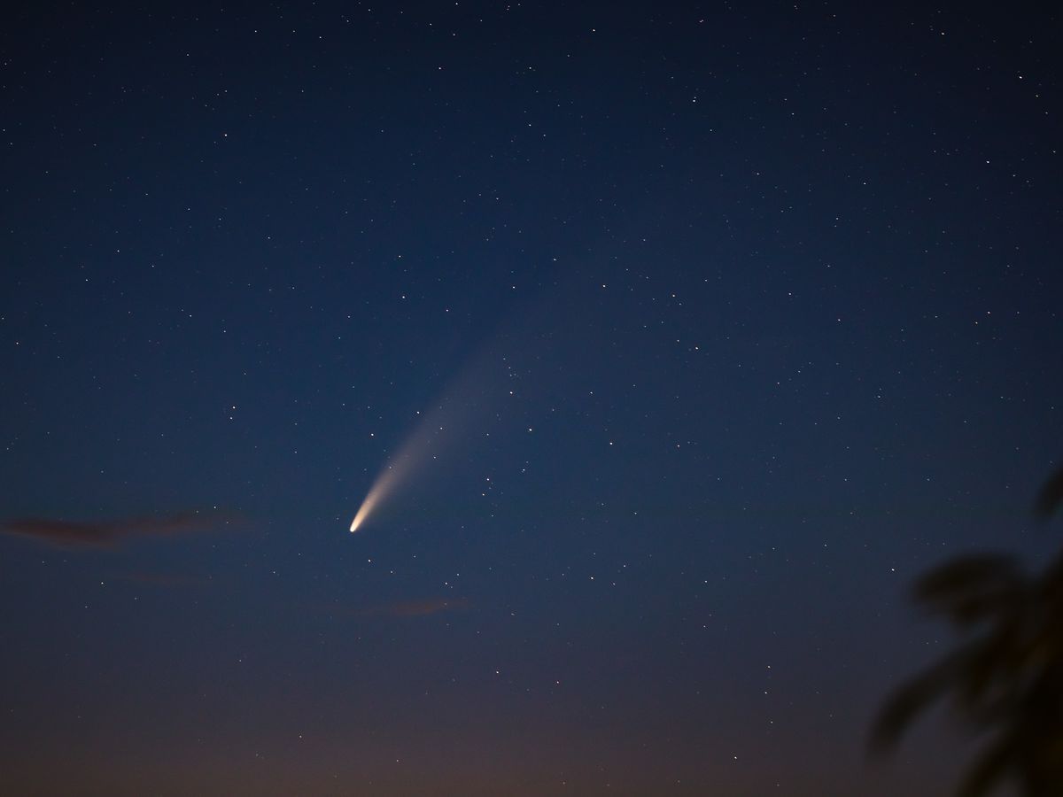 Komet C/2020 F3 (NEOWISE)